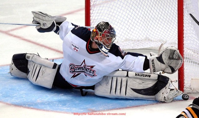 海豚直播-火箭队雨燕直播平台观看指南与资源汇总