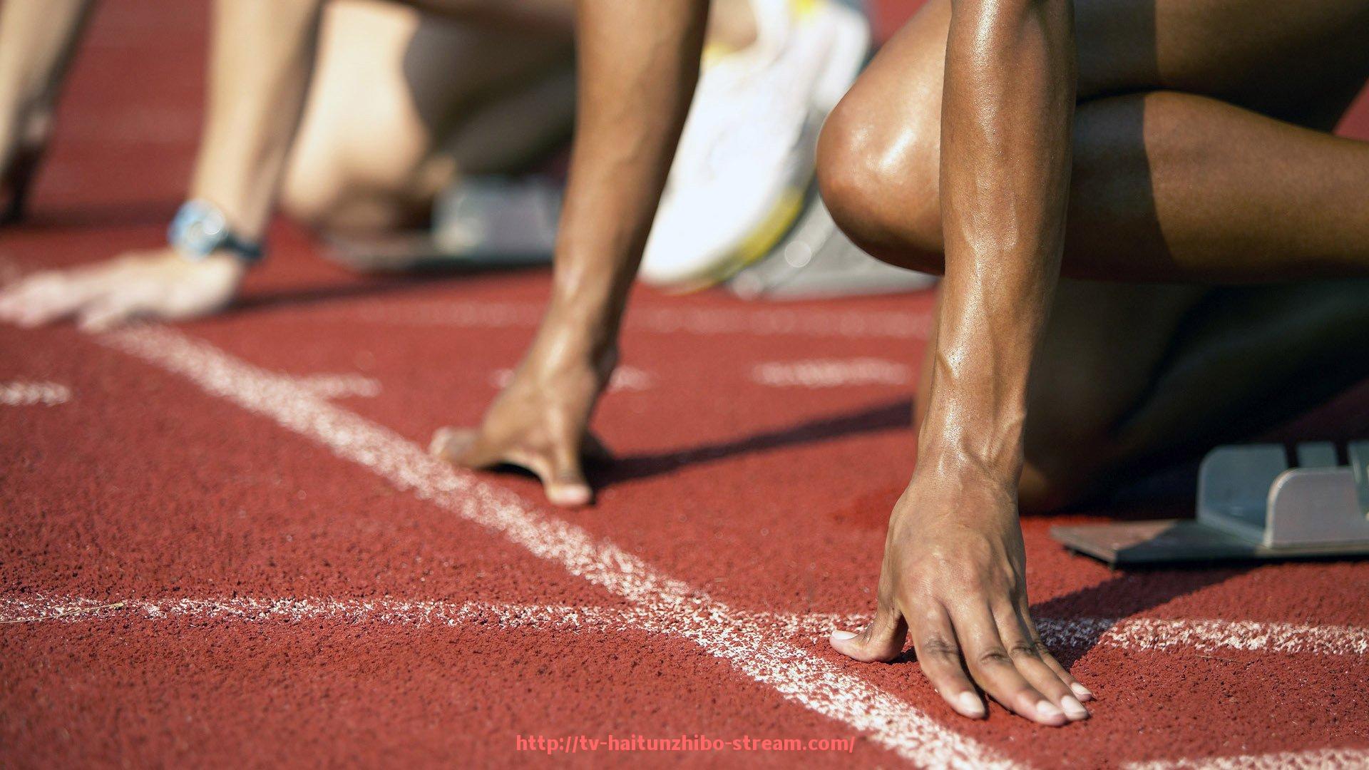 海豚直播-家用健身器材官方网站推荐与比较